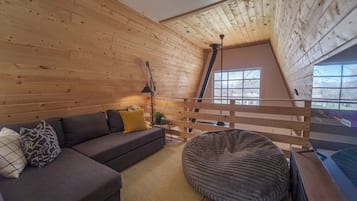 Smart TV, fireplace, books