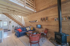 Smart TV, fireplace, books