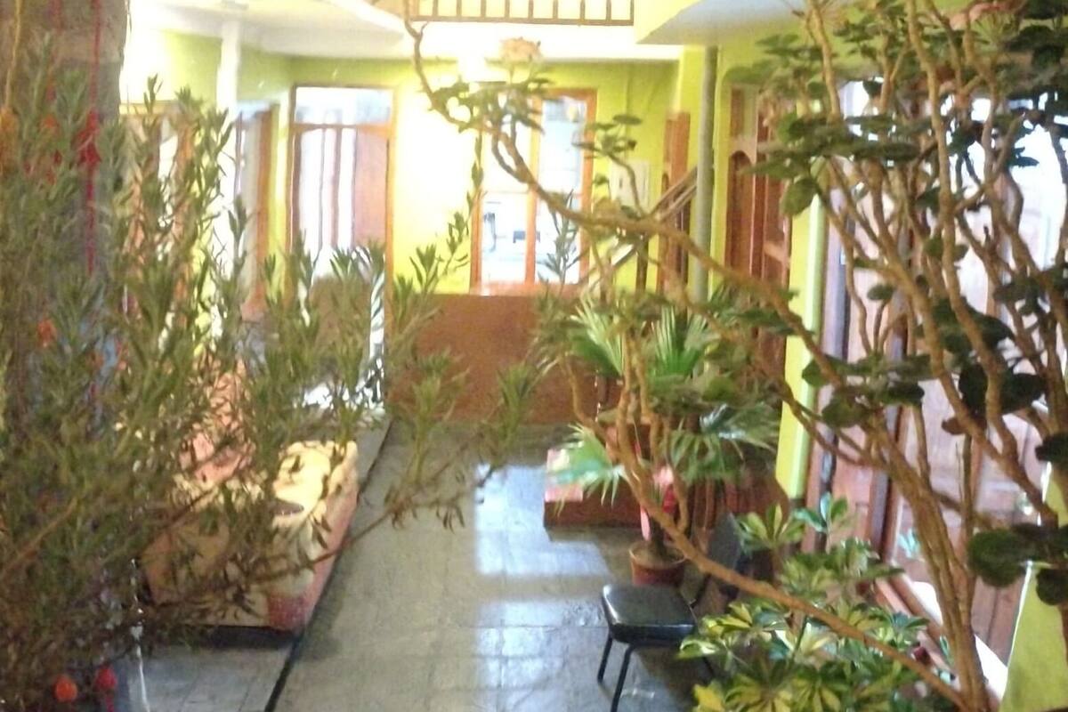 A courtyard with potted plants, a stone bench, and a staircase leading to an upper level.