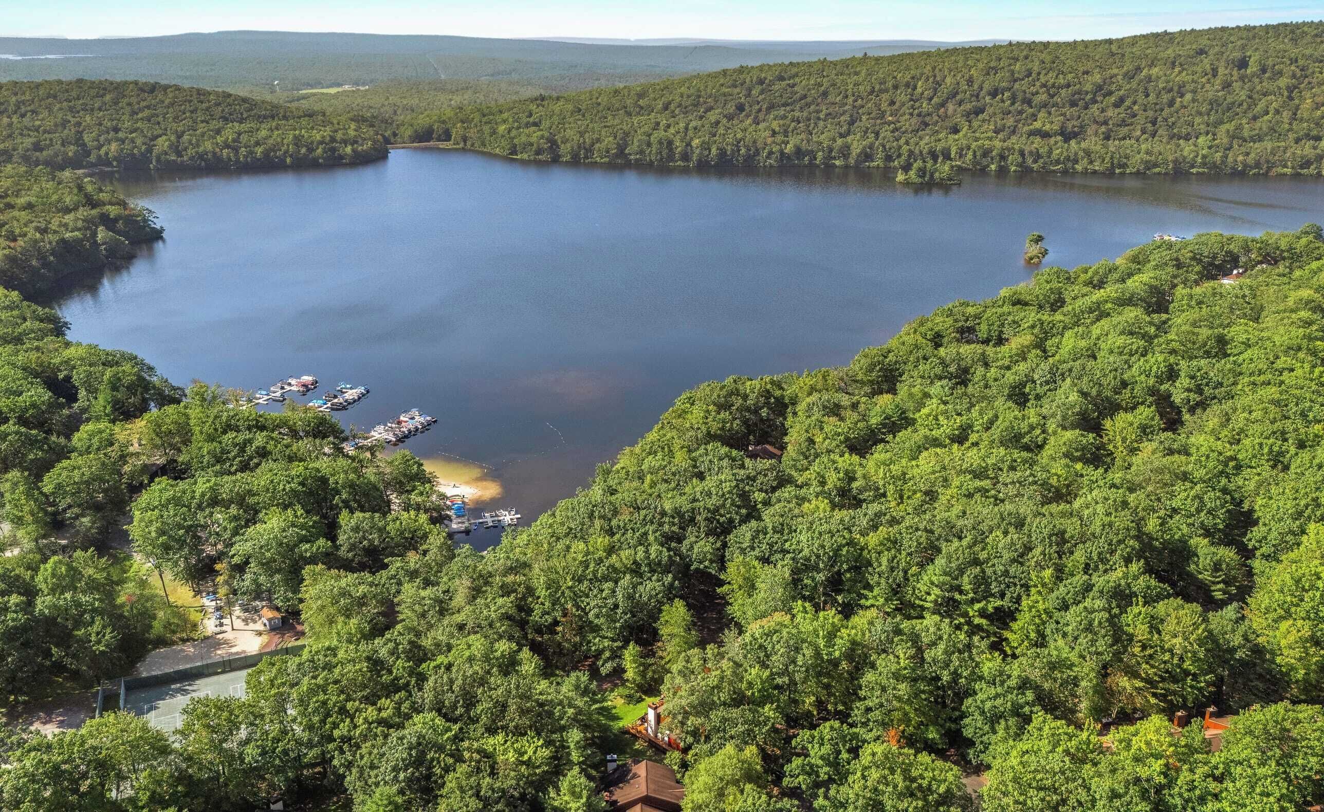 A lake surrounded by dense forest, with several boats docked at a pier.