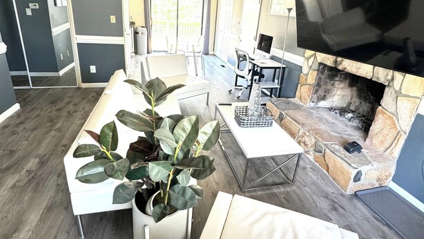 Un salon moderne avec une cheminée en pierre, un téléviseur à écran plat et une grande plante en pot.