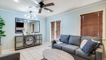 Smart TV, fireplace, books