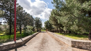 Un chemin pavé, bordé d’arbres et de murs de pierre, qui mène à un bâtiment situé au loin.