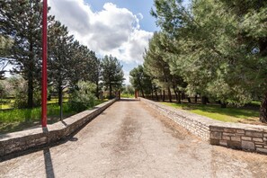 A paved pathway flanked by trees and stone walls, leading to a distant structure.
