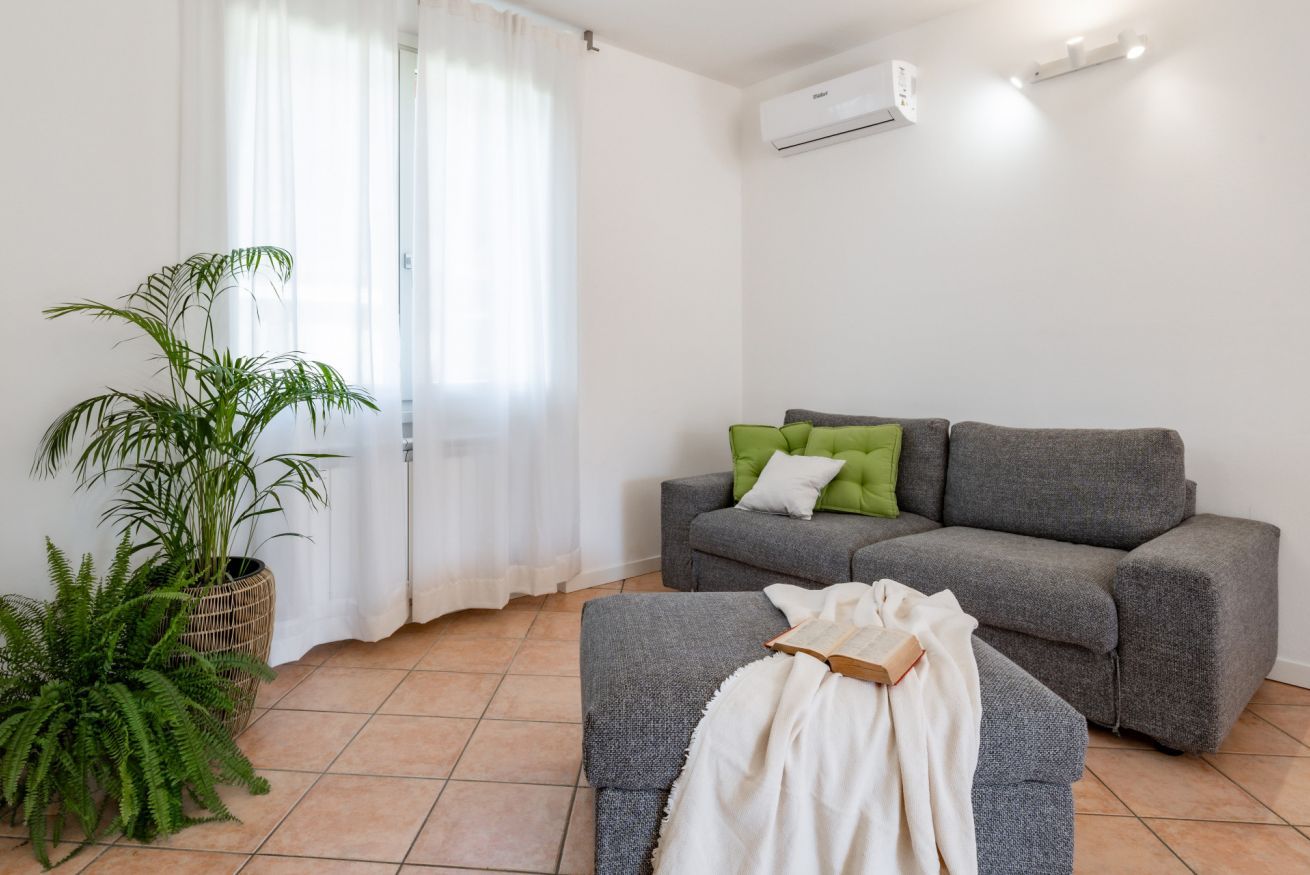 Un salon avec un canapé gris, un coussin vert, un plaid blanc et une plante en pot.