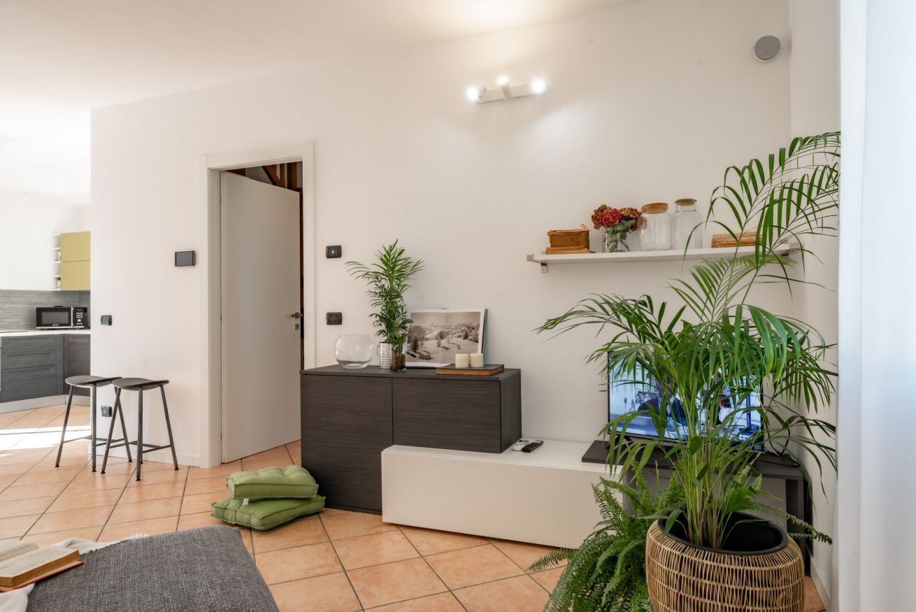Un salon moderne avec un canapé, une table basse et un téléviseur. On aperçoit une cuisine au fond, une porte menant à une autre pièce et une plante sur le côté droit.