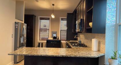 Single Family Home in the Heart of Chicago. By UIC, Medical District, Pilsen!