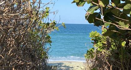 Cosy ground floor apartment in house on a private beach.