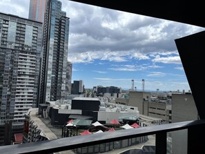 Vista desde la propiedad