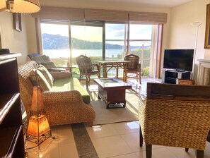 Télévision, lecteur de DVD, livres