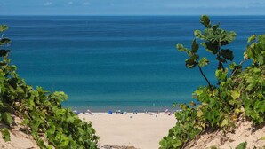 A beach with clear blue water, sandy shore, and greenery in the foreground.