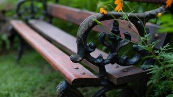 Un banc en bois, doté de jolis accoudoirs en métal et sur lequel pousse une fleur.