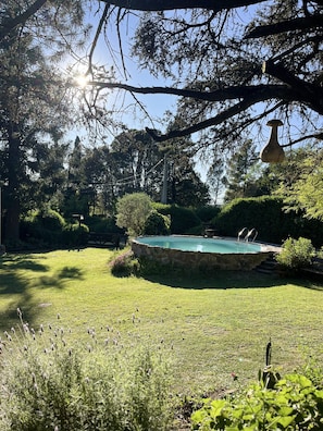 Ein Pool, umgeben von üppiger Vegetation und Bäumen.