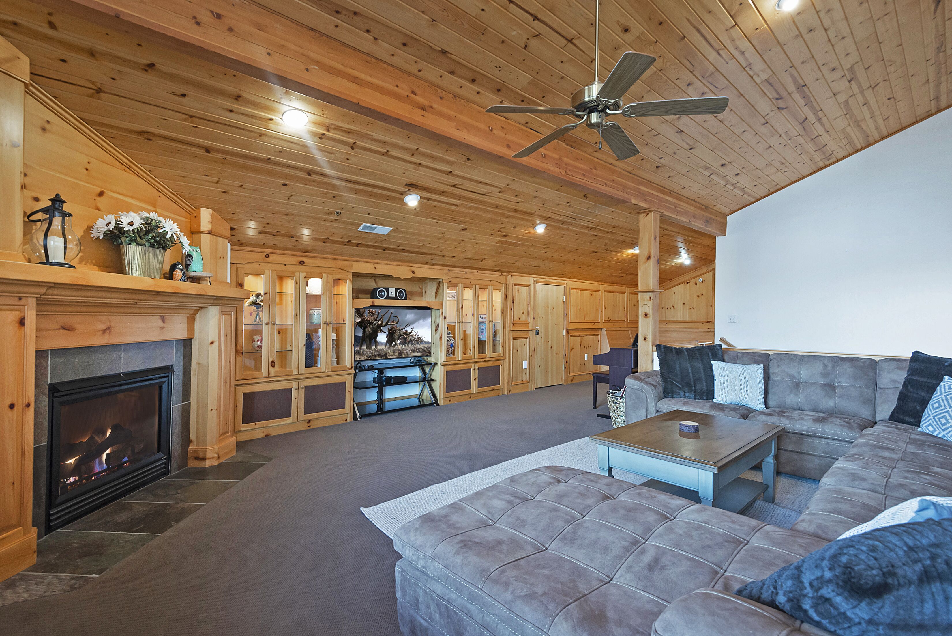 Smart TV, fireplace, offices, printers