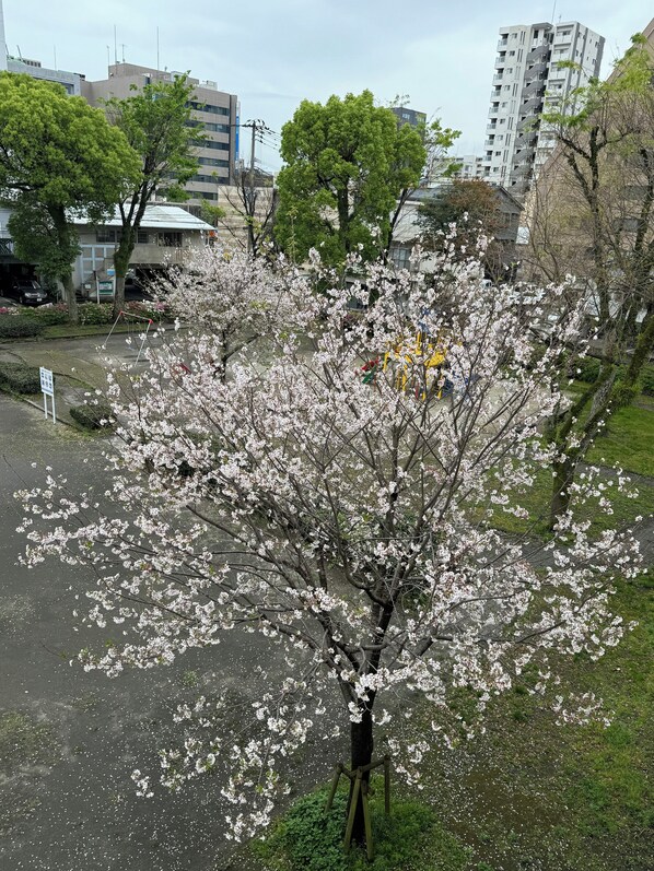 Exterior - HOTEL SHUTEC (Kagoshima)