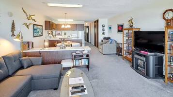 TV, fireplace, offices
