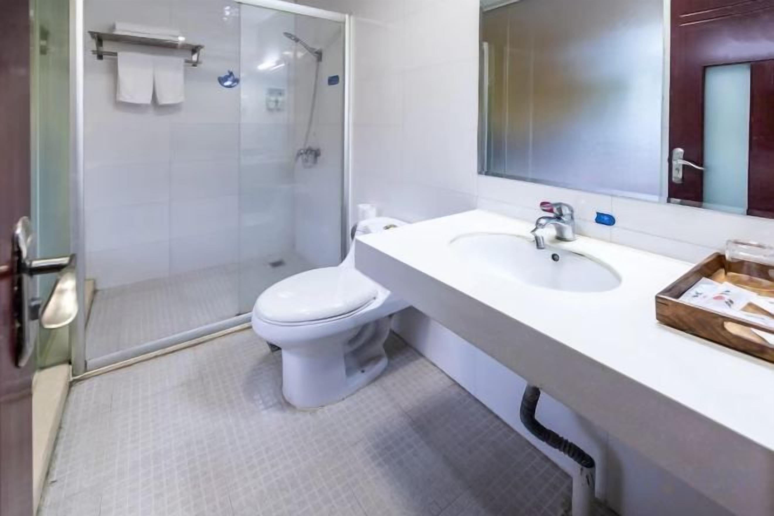 A bathroom with a glass-enclosed shower, a white toilet, and a sink with a mirror above it.