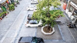 A street view with parked cars, a tree, and buildings. - Sanming Zunhe Inn (Shaxian Snack Culture City) (Sanming)