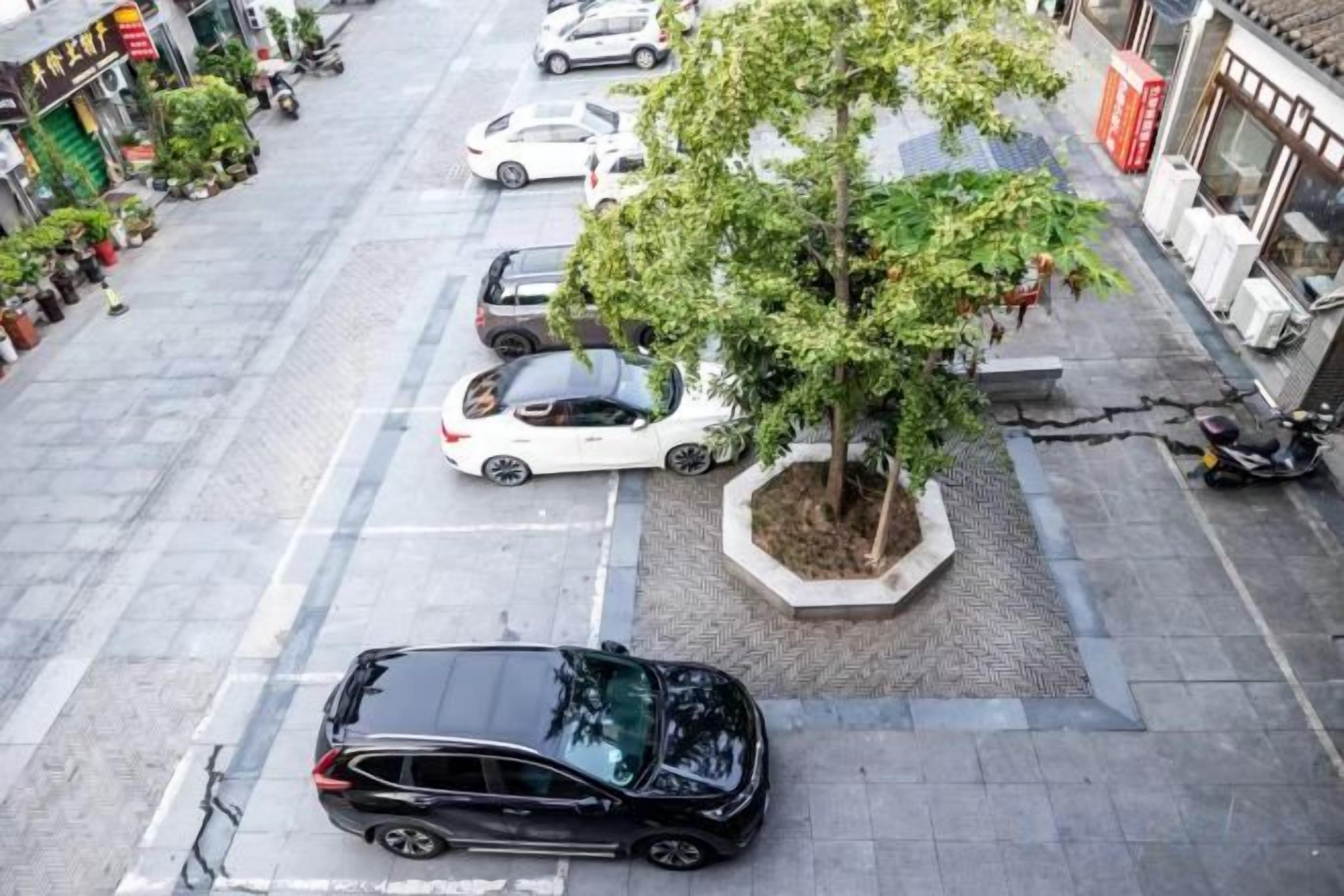 A parking lot with cars and a tree.