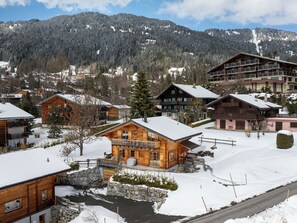 Exterior - Chalet Olivier by Interhome (Villars)