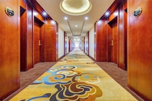 Un pasillo largo y estrecho con puertas de madera a ambos lados y una alfombra estampada.