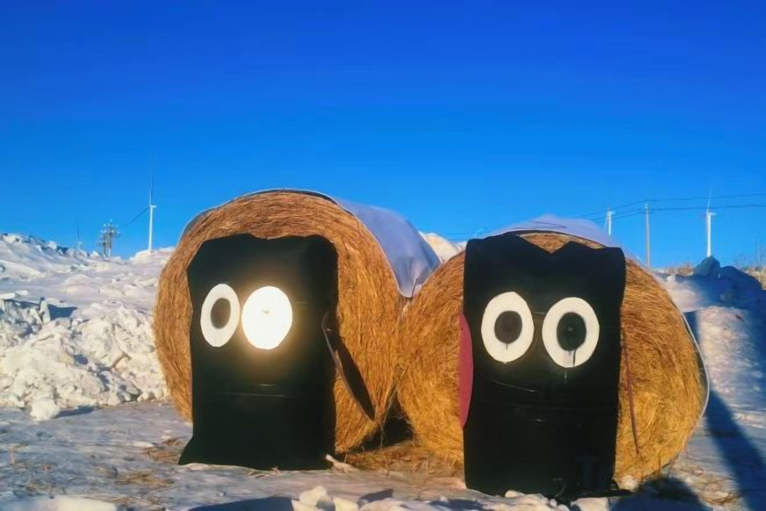 Two hay bales with black bases and white eyes, resembling cartoon characters, in a snowy outdoor setting.