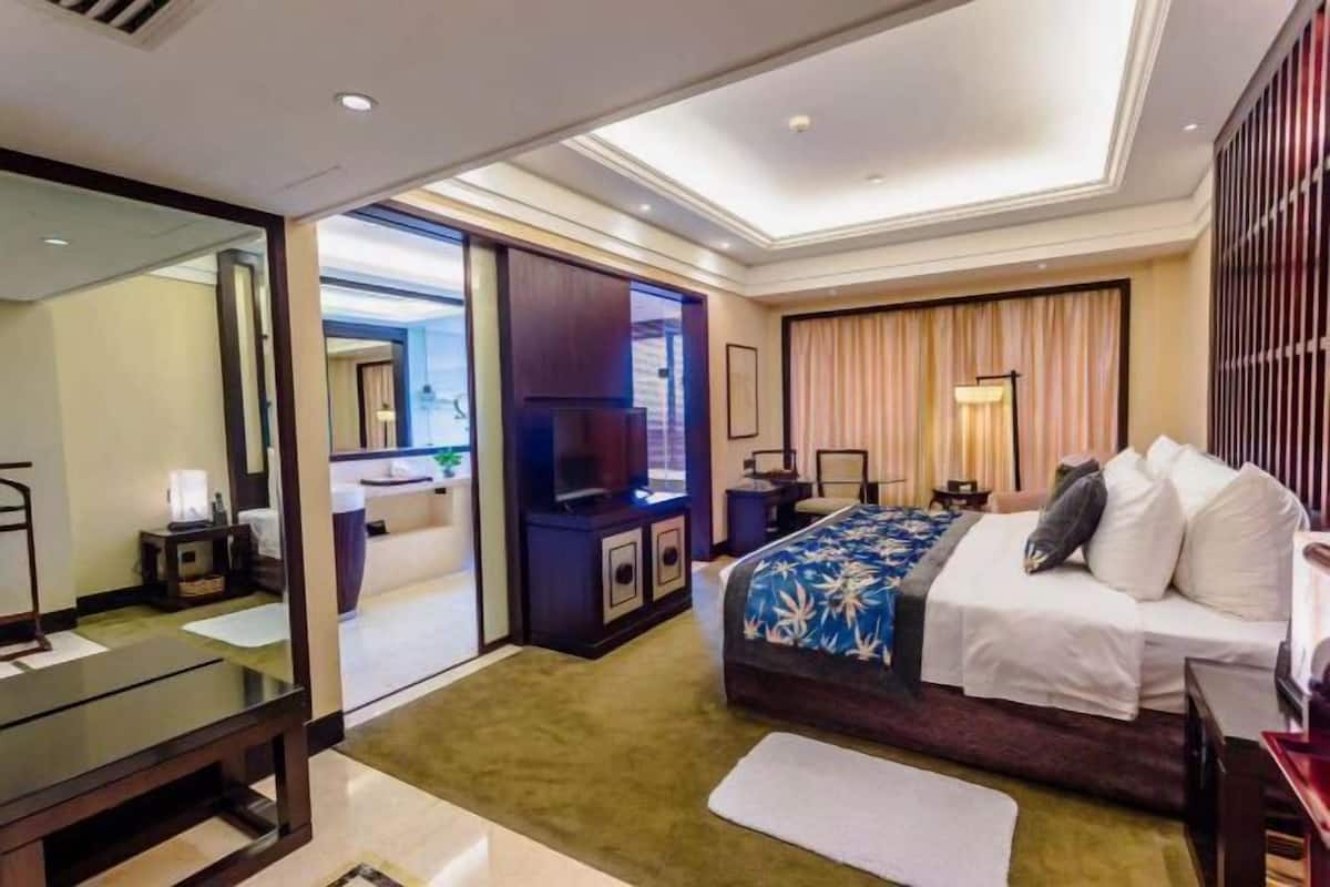Een hotelkamer met een bed, een bureau, een televisie, een spiegel en uitzicht.