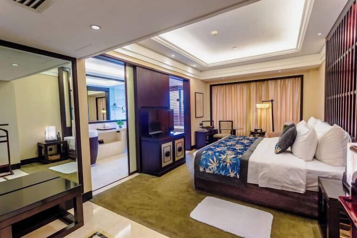 Een hotelkamer met een bed, een bureau, een televisie, een spiegel en uitzicht.