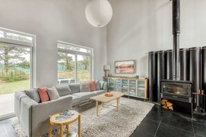 Televisión, chimenea, reproductor de DVD y libros 