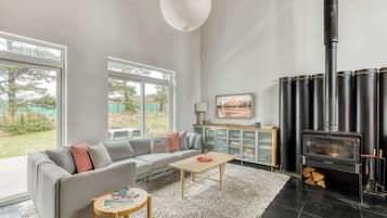 TV, fireplace, DVD player, books