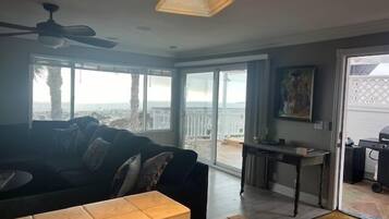 Smart TV, fireplace, books