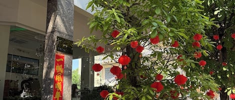 Façade de lâhĂ©bergement