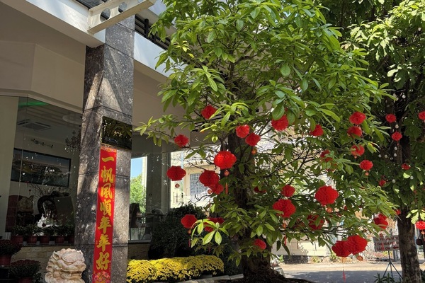 Front of property