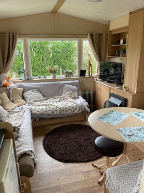 TV, fireplace