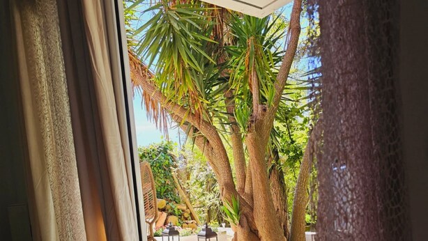 Une vue à travers une fenêtre donnant sur une pièce dont le sol est recouvert de pierres, où l’on aperçoit une chaise en osier et, à l’extérieur, un grand arbre.
