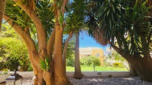 Un jardin avec de grands arbres et un sentier.