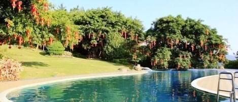 Piscina al aire libre