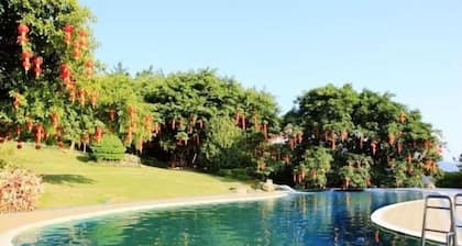 Yannanfei Weilong Hotel