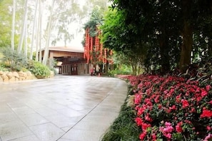Ngoại thất