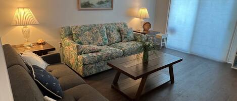 Smart TV, books, video library, stereo