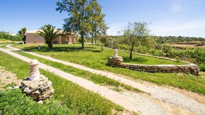 Un paisaje rural con un sendero de piedra que lleva a un edificio de techo de tejas.