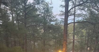 A Luxurious Prescott Log Cabin, 1 mile to Downtown.