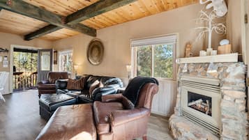 Smart-TV, Kamin, Bücher, Stereoanlage