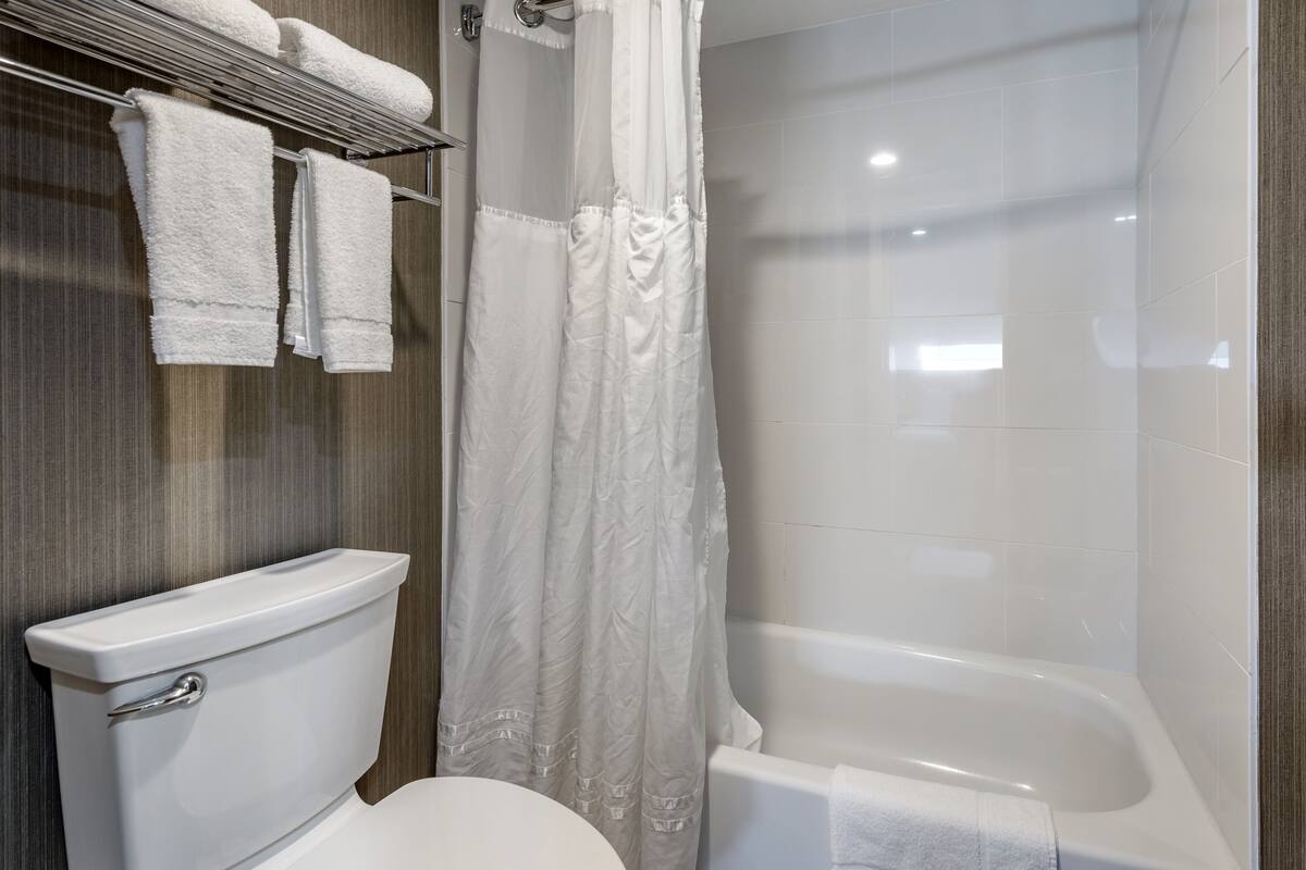 A bathroom with a toilet, a bathtub, and a shower curtain.