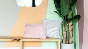 A room with a wooden bench, a potted plant, and a wall-mounted mirror.