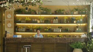 Un mostrador de recepción con una mujer detrás, rodeado de estantes con plantas y un reloj en la pared.