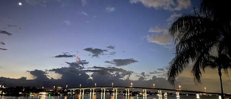 Vista nocturna de un puente iluminado, con reflejos en un agua tranquila, una palmera a la derecha y el horizonte de una ciudad al fondo.
