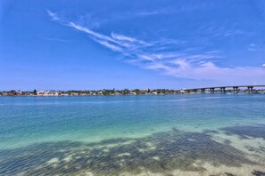 Condo, 1 King Bed with Sofa bed (Bahia Vista 361- Club Bahia) | Beach - Bahia Vista 361- Club Bahia (St. Petersburg)