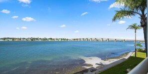 Condo, 1 King Bed with Sofa bed (Bahia Vista 361- Club Bahia) | Beach - Bahia Vista 361- Club Bahia (St. Petersburg)