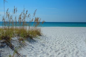 Condo, Multiple Beds (Baywatch C8) | Beach